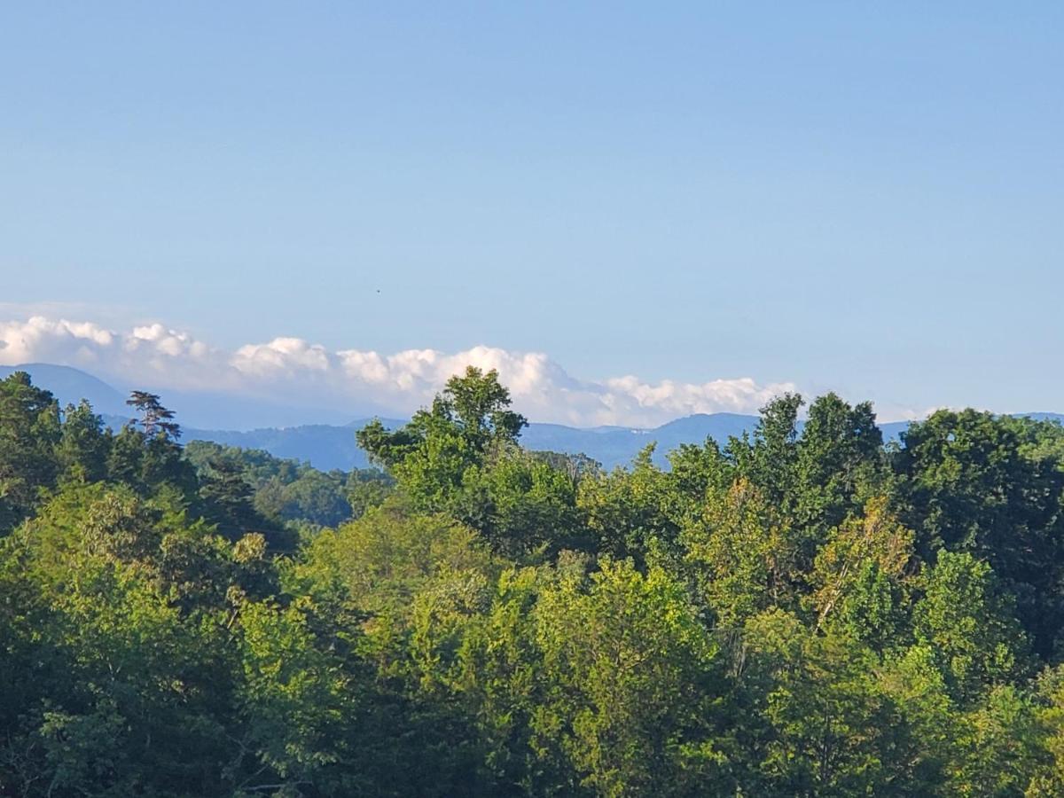 Huny Bear Lodge Pigeon Forge Esterno foto